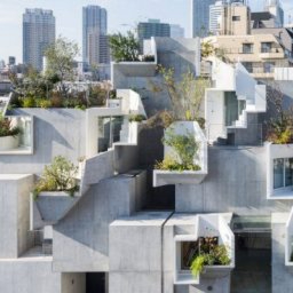 如綠樹般纏繞的樹型住宅 平田晃久的建築新作 樹木之家 璞園建築團隊官方網站 如綠樹般纏繞的樹型住宅 平田晃久的建築新作 樹木之家 璞園建築團隊官方網站